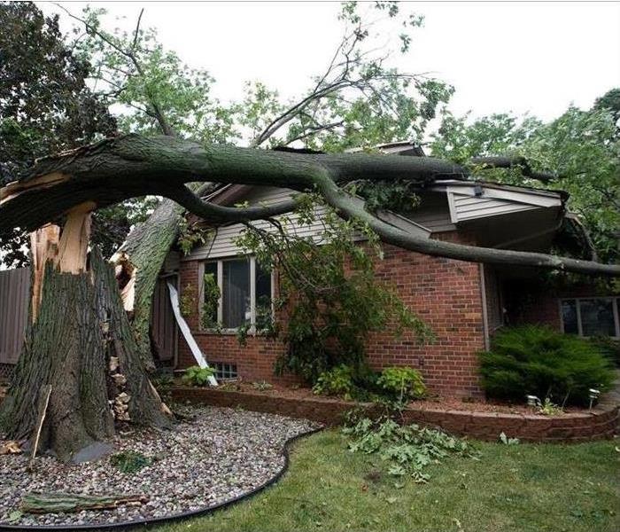 A large tree fell on a brick house. 