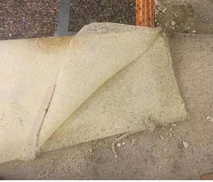 Why SERVPRO - image of partially rolled up carpet