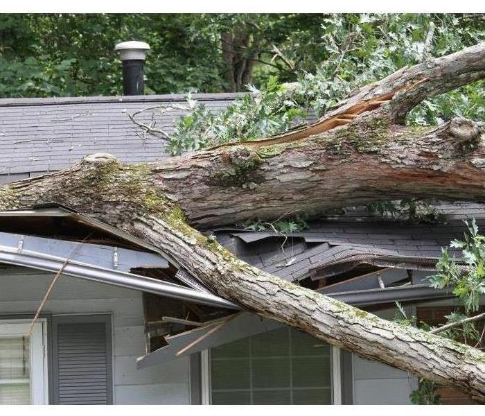 A tree has fallen onto a house during a storm.
