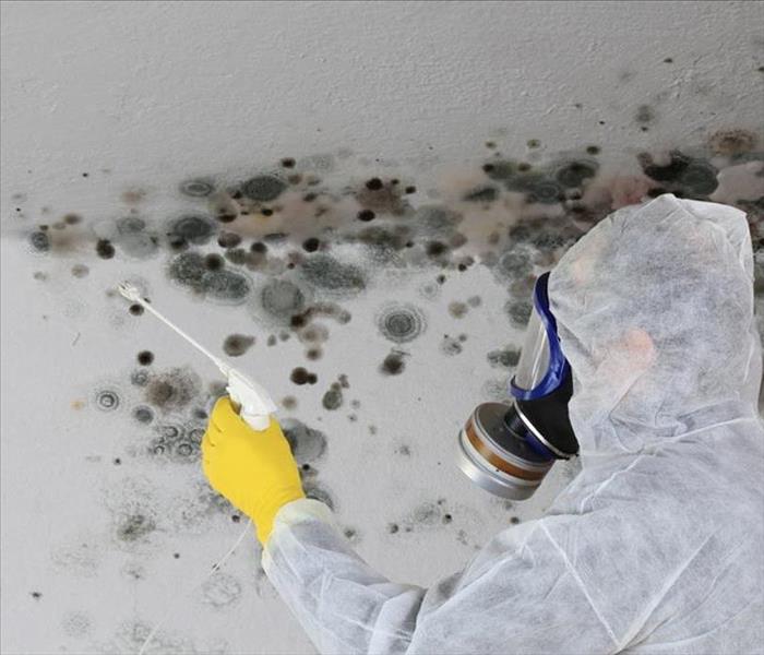 A Person in full protective gear sprays mold with solution.